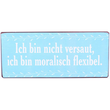 Blechschild Retro Vintage "Ich bin nicht versaut, ich bin moralisch flexibel" 30.5 x 13cm