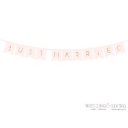 Just Married  Wimpelkette hellrosa 15x155cm