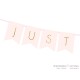 Just Married  Wimpelkette hellrosa 15x155cm
